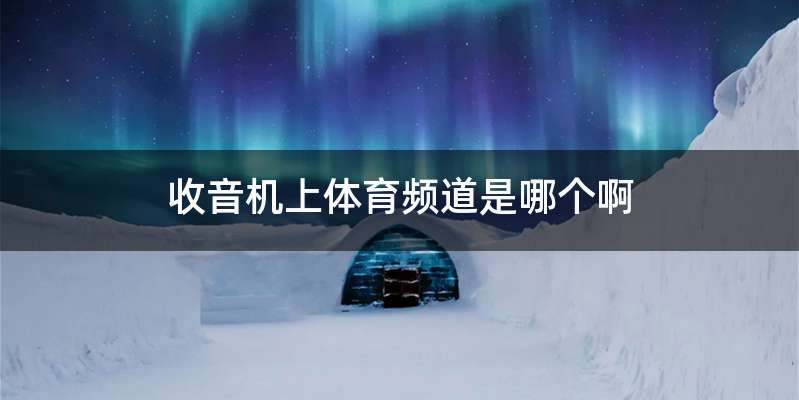 收音机上体育频道是哪个啊