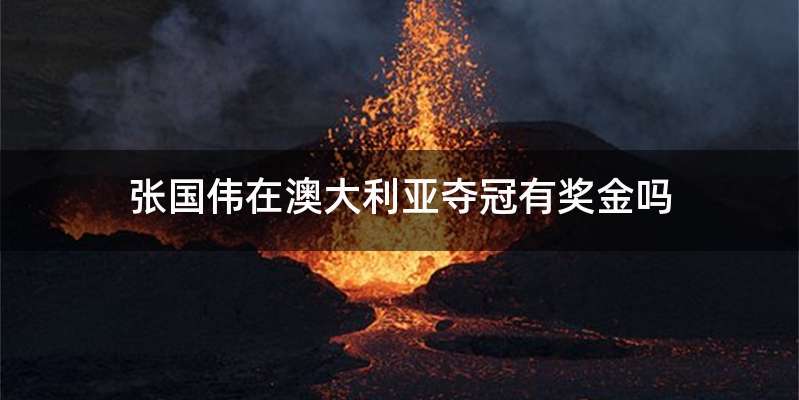 张国伟在澳大利亚夺冠有奖金吗