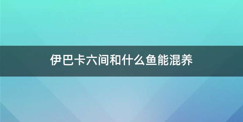 伊巴卡六间和什么鱼能混养