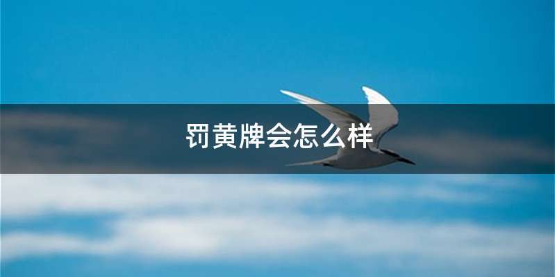 罚黄牌会怎么样