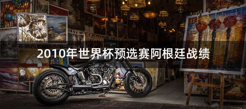 2010年世界杯预选赛阿根廷战绩