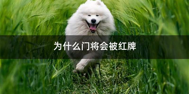 为什么门将会被红牌