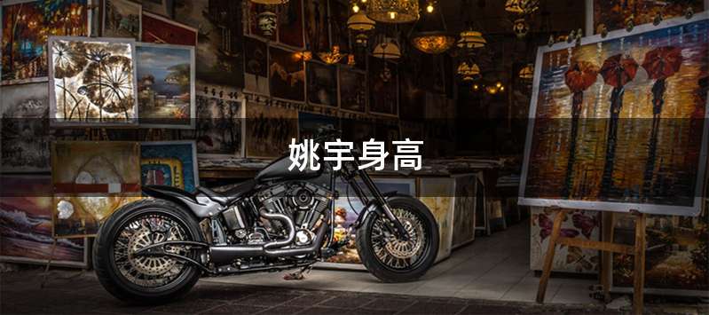 姚宇身高