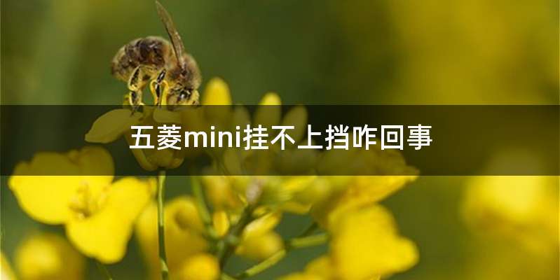 五菱mini挂不上挡咋回事