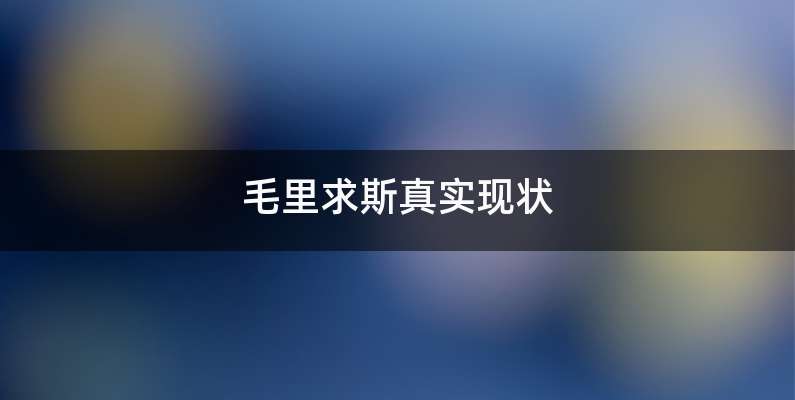 毛里求斯真实现状