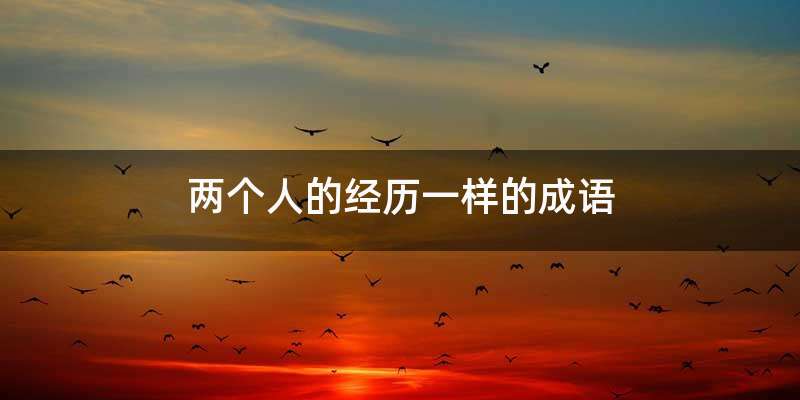 两个人的经历一样的成语