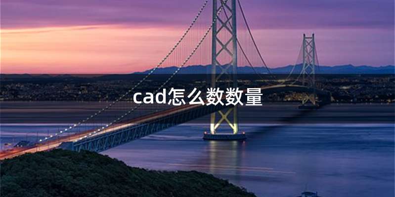 cad怎么数数量
