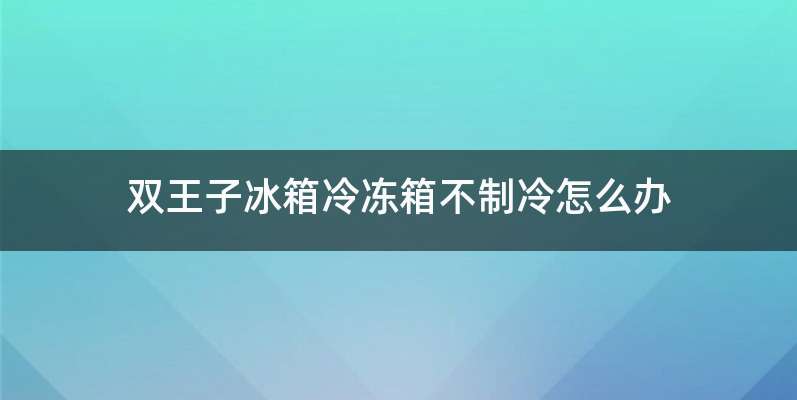 双王子冰箱冷冻箱不制冷怎么办
