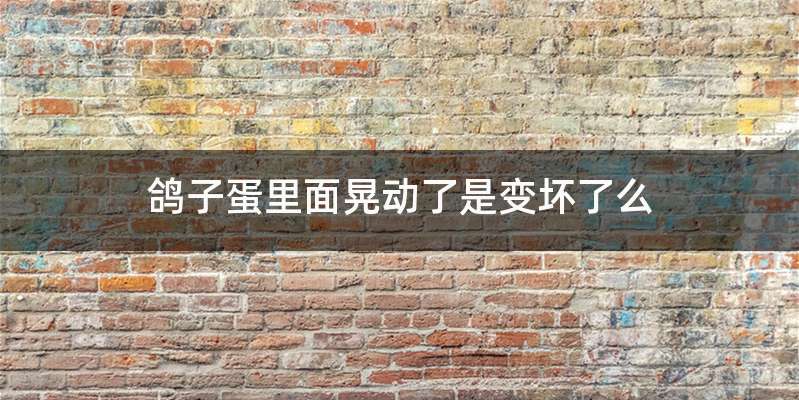 鸽子蛋里面晃动了是变坏了么