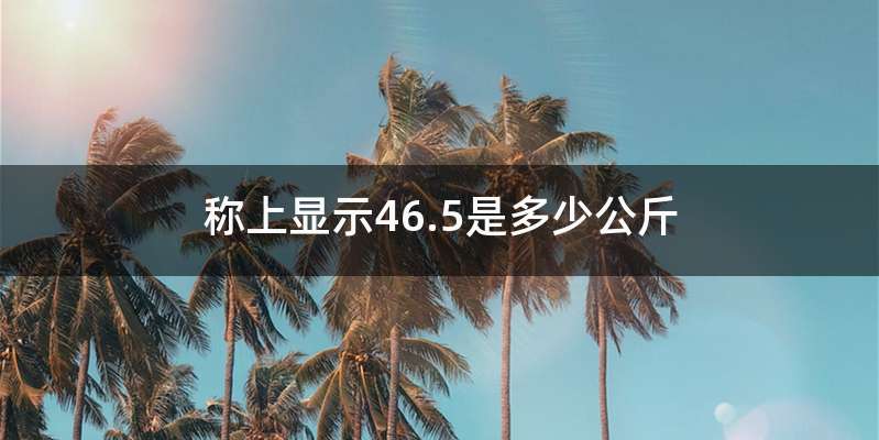 称上显示46.5是多少公斤