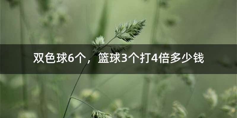 双色球6个，篮球3个打4倍多少钱