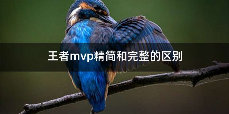 王者mvp精简和完整的区别