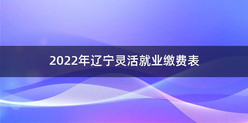 2022年辽宁灵活就业缴费表