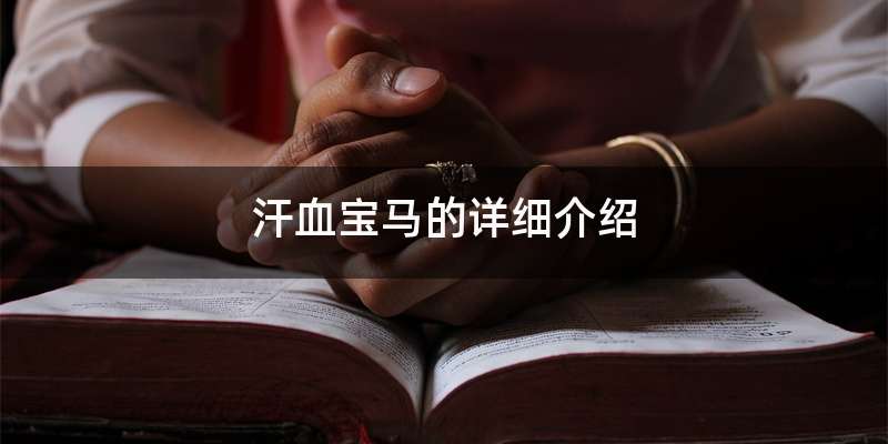 汗血宝马的详细介绍