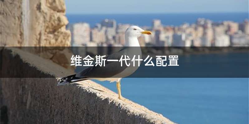 维金斯一代什么配置