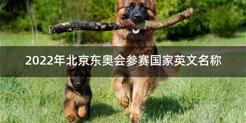 2022年北京东奥会参赛国家英文名称