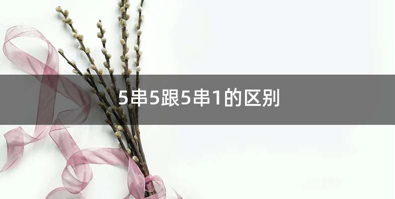 5串5跟5串1的区别