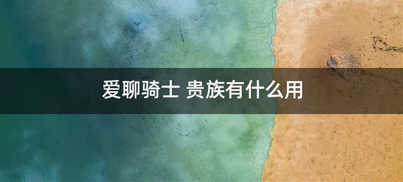 爱聊骑士 贵族有什么用