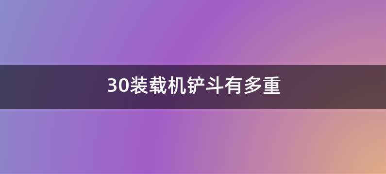 30装载机铲斗有多重
