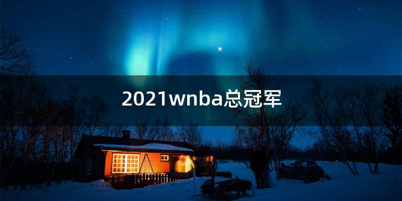 2021wnba总冠军