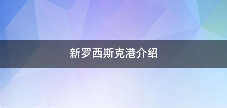 新罗西斯克港介绍