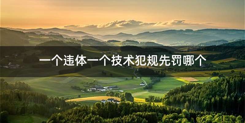 一个违体一个技术犯规先罚哪个