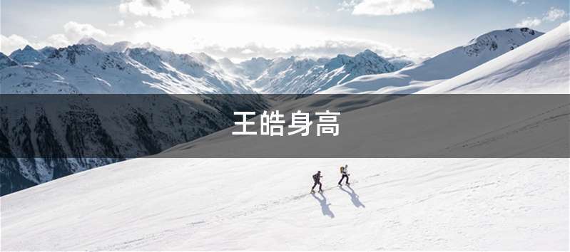 王皓身高