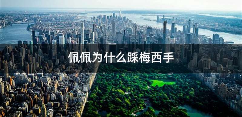 佩佩为什么踩梅西手