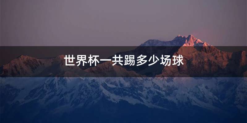 世界杯一共踢多少场球