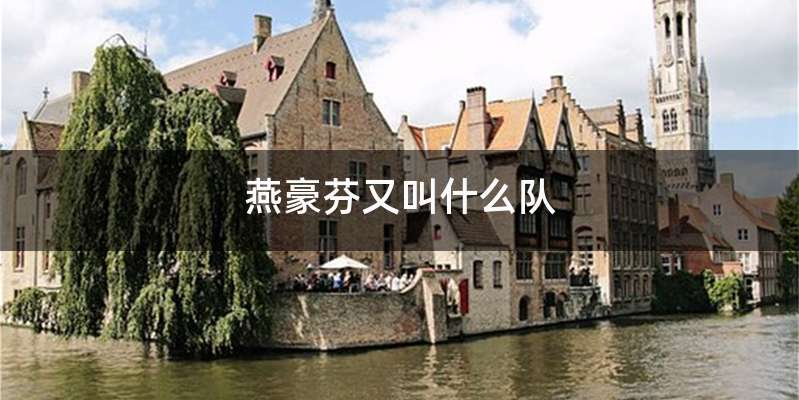 燕豪芬又叫什么队