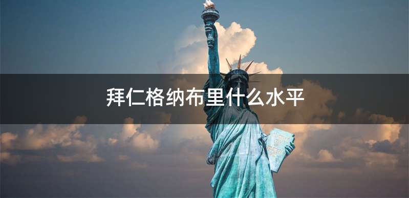 拜仁格纳布里什么水平