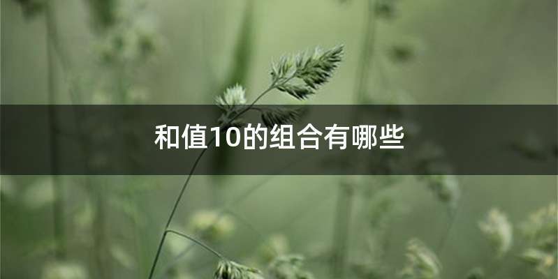 和值10的组合有哪些