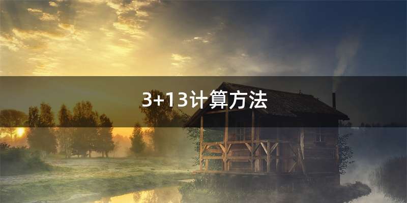 3+13计算方法