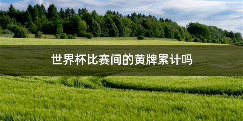 世界杯比赛间的黄牌累计吗