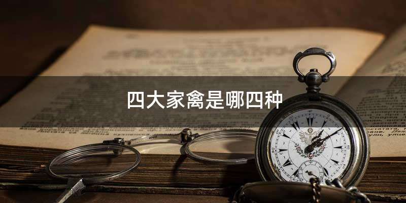 四大家禽是哪四种