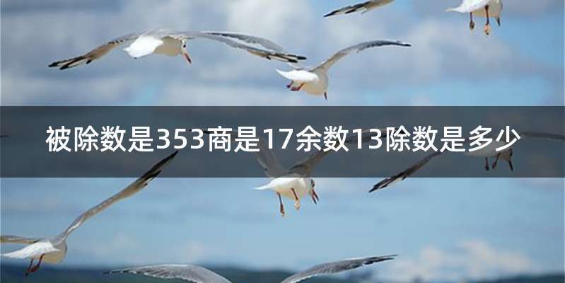 被除数是353商是17余数13除数是多少