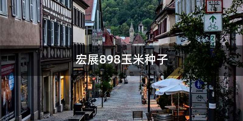 宏展898玉米种子