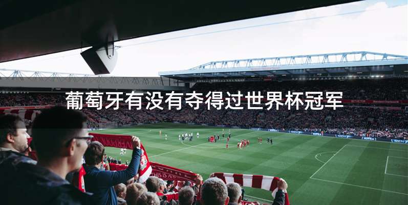 葡萄牙有没有夺得过世界杯冠军