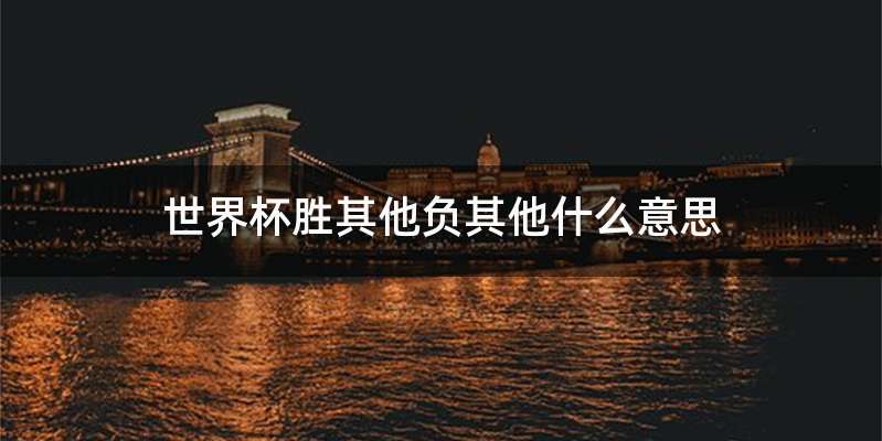 世界杯胜其他负其他什么意思