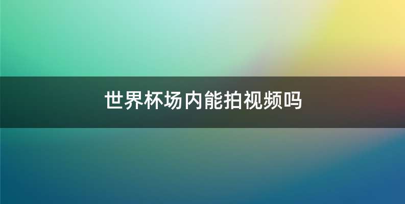 世界杯场内能拍视频吗