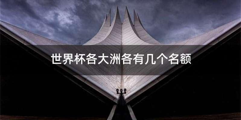 世界杯各大洲各有几个名额