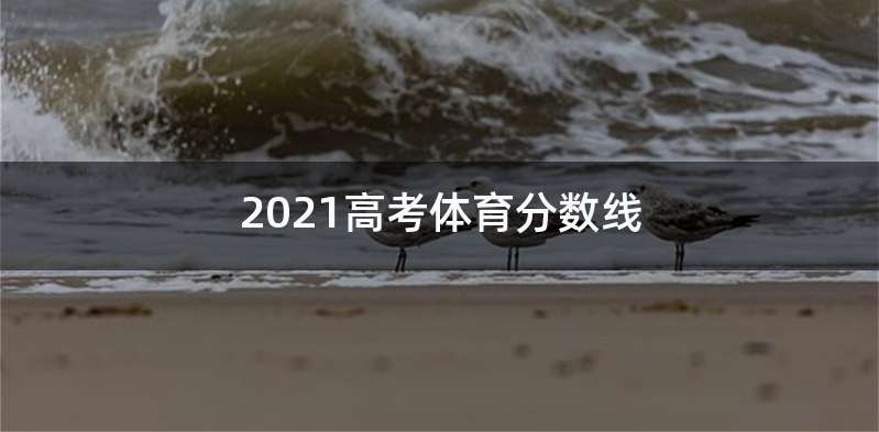 2021高考体育分数线