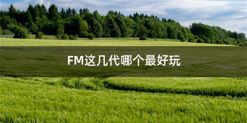 FM这几代哪个最好玩