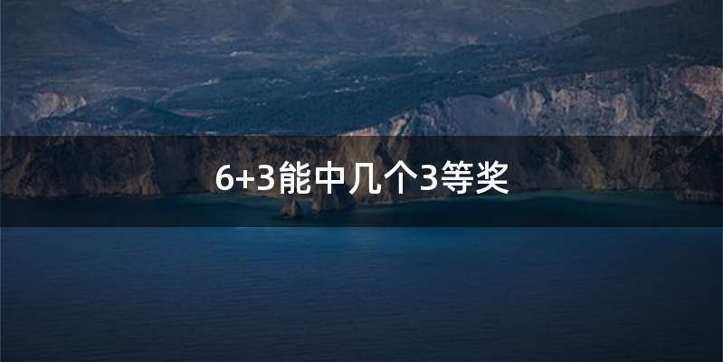 6+3能中几个3等奖