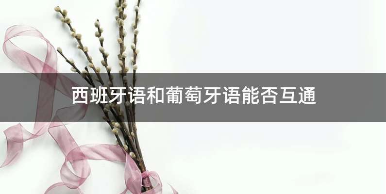 西班牙语和葡萄牙语能否互通