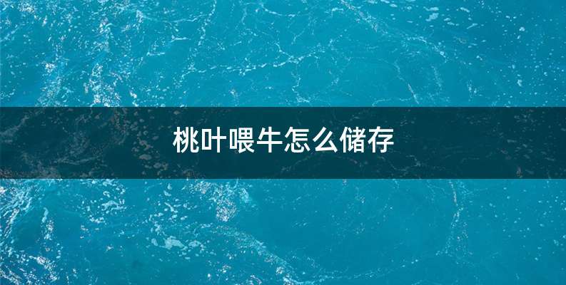 桃叶喂牛怎么储存