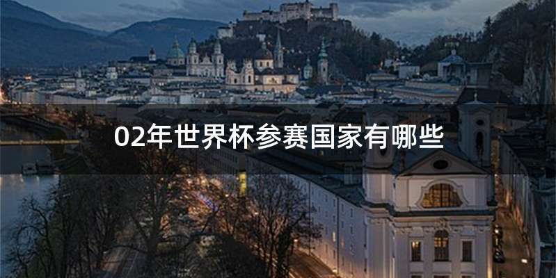 02年世界杯参赛国家有哪些