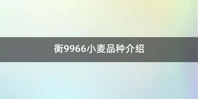 衡9966小麦品种介绍