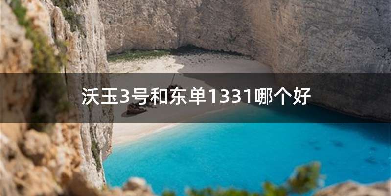沃玉3号和东单1331哪个好