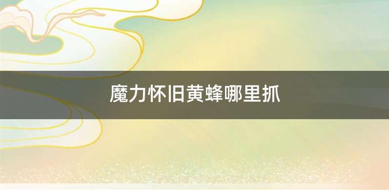 魔力怀旧黄蜂哪里抓